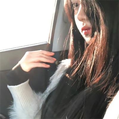 狗狗会说话